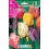 Bulbo de tulipán papagayo variado (bolsa 5 unidades)