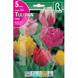 Bulbo de tulipán doble variado (bolsa 5 unidades)