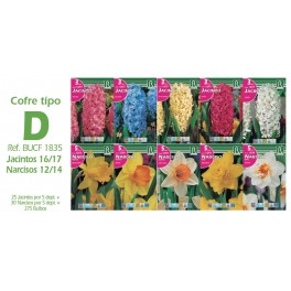 Cofre 250 jacintos Tipo D