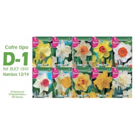 Cofre 300 narcisos Tipo D - 1