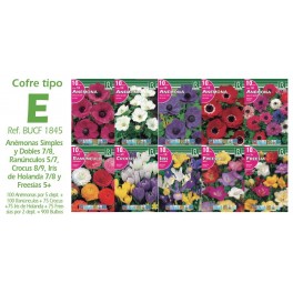 Cofre 900 bulbos variados Tipo E
