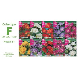 Cofre 750 fresias Tipo F