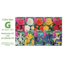 Cofre bulbos de ranunculos y iris Tipo G