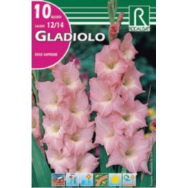 Bulbo de Gladiolo rose supreme (cajetín 150 unidades)
