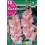 Bulbo de Gladiolo rose supreme (cajetín 150 unidades)