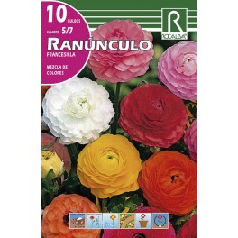Bulbo de renúculo francesilla mezcla colores (cajetín 200 unidades)