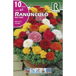 Bulbo de renúculo mini tower mezcla colores (cajetín 200 unidades)