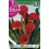 Bulbo de calla lirio de agua majestic red (cajetín 25 unidades)