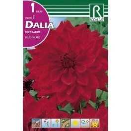 Bulbo de Dalia decorativa duetschland (bolsa litografiada 1 unidad)