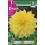 Bulbo de Dalia decorativa kelvin floodlight  (bolsa litografiada 1 unidad)