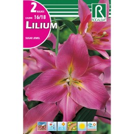 Bulbo de Lilium sugar jewel (bolsa litografiada 2 unidades)