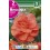 Bulbo de Begonia doble flor de camelia salmón (bolsa litografiada 2 unidades)