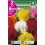Bulbo de Begonia doble flor de camelia mezcla de colores (bolsa litografiada 2 unidades)