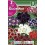 Bulbo de Gloxinia mezcla de colores (bolsa litografiada 2 unidades)