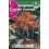 Bulbo de  canna enana hoja marrón naranja (bolsa litografiada 1 unidad)