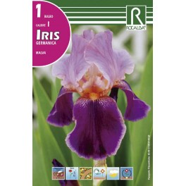 Bulbo de iris germanica malva (bolsa litografiada 1 unidad)