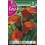 Bulbo de calla lirio de agua fire light (bolsa litografiada 1 unidad)