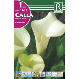 Bulbo de calla lirio de agua  elegant swan (bolsa litografiada 1 unidad)