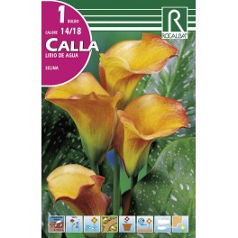 Bulbo de calla lirio de agua selina (bolsa litografiada 1 unidad)