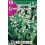 Bulbo de  convallaria muguet blanco (bolsa litografiada 10 unidades)