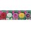Bulbo Dalias decorativas cofre tipo DD