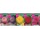 Bulbo Dalias cactus cofre tipo DC-1