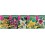 Bulbo Liliums Jumbo cofre tipo JL