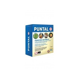 Fungicida Puntal