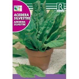 Semilla acedera silvestre