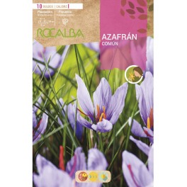 Bulbo de azafrán (bolsa litografiada 10 bulbos)