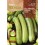 Semilla calabacín genovese (ecológica)