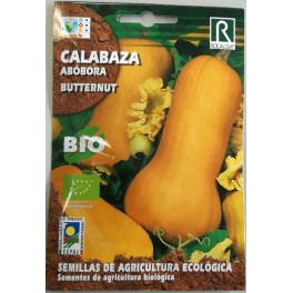 Semilla calabaza butternut (ecológica)