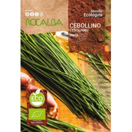 Semilla cebollino praga (ecológica)