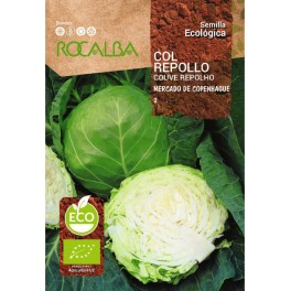 Semilla col repollo mercado de copenhague 2 (ecológica)