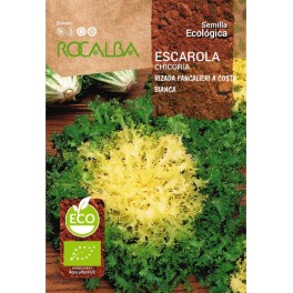Semilla escarola rizada pancalieri (ecológica)