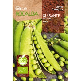 Semilla guisante Rondo (ecológica)