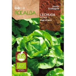 Semilla lecuga reina de mayo (ecológica)