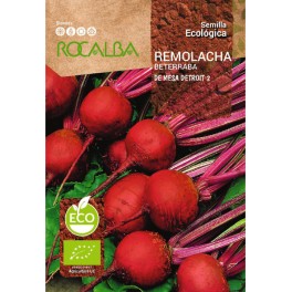 Semilla remolacha de mesa detroit 2(ecológica)