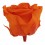Rosa preservada naranja