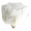 Rosa preservada blanca