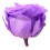 Rosa preservada lila brillante