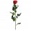 Rosa preservada roja