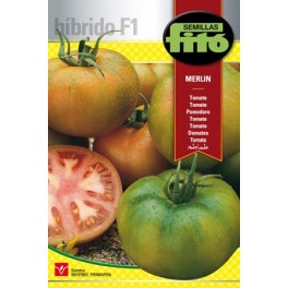 Semilla tomate Merlin F1 (híbrida)