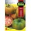 Semilla tomate Merlin F1 (híbrida)
