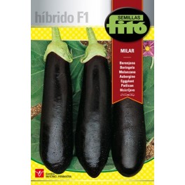 Semilla Berenjena Larne F1 (híbrida)