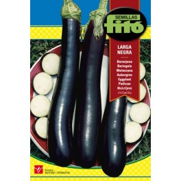 Semilla Berenjena larga negra