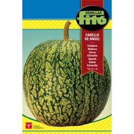 Semilla Calabaza Cabello de ángel