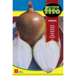 Semilla Cebolla babosa