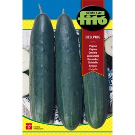 Semilla Pepino Bellpuig
