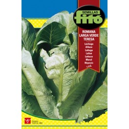 Semilla Lechuga Romana larga verde